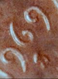 1969-S-1c-Double-Dielincoln-Cent-Maybe